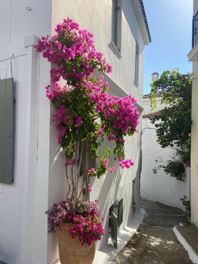 Raphael Skiathos Living-Olga Bagian luar foto