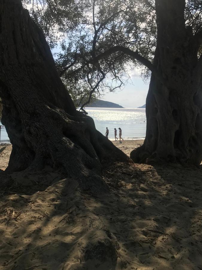 Raphael Skiathos Living-Olga Bagian luar foto